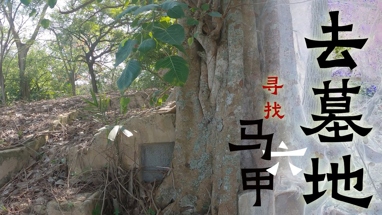 去墓地寻找马六甲华人的過去，他們來自中國哪裡？Go to the cemetery to find the past of Malacca Chinese，Where are they from?