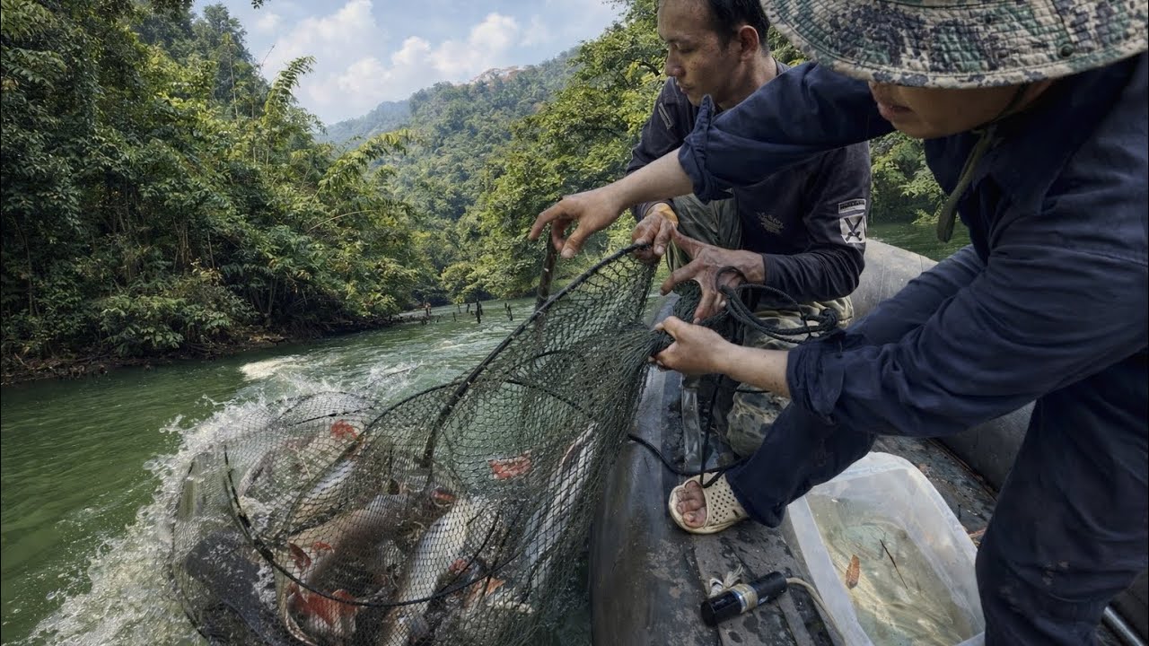 K&Eacute;O C&Aacute; L&Ecirc;N BỎ CHẠY GẤP Sống Trong Rừng Tr&uacute;ng V&ugrave;ng Đất Dữ | Survival Fishing in the Vietnamese Jungle