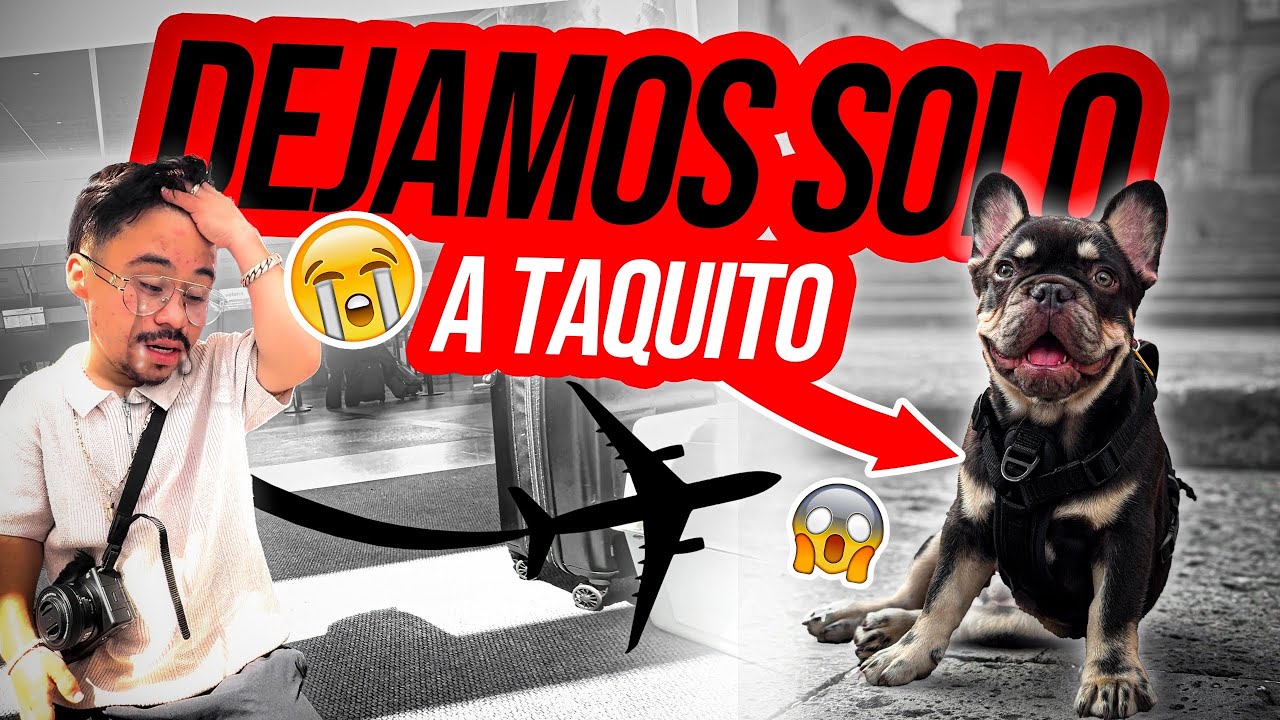 🚫NO dejan VOLAR a TAQUITO 🛫¿Lo dejamos SOLO? 😳 / ABELITO