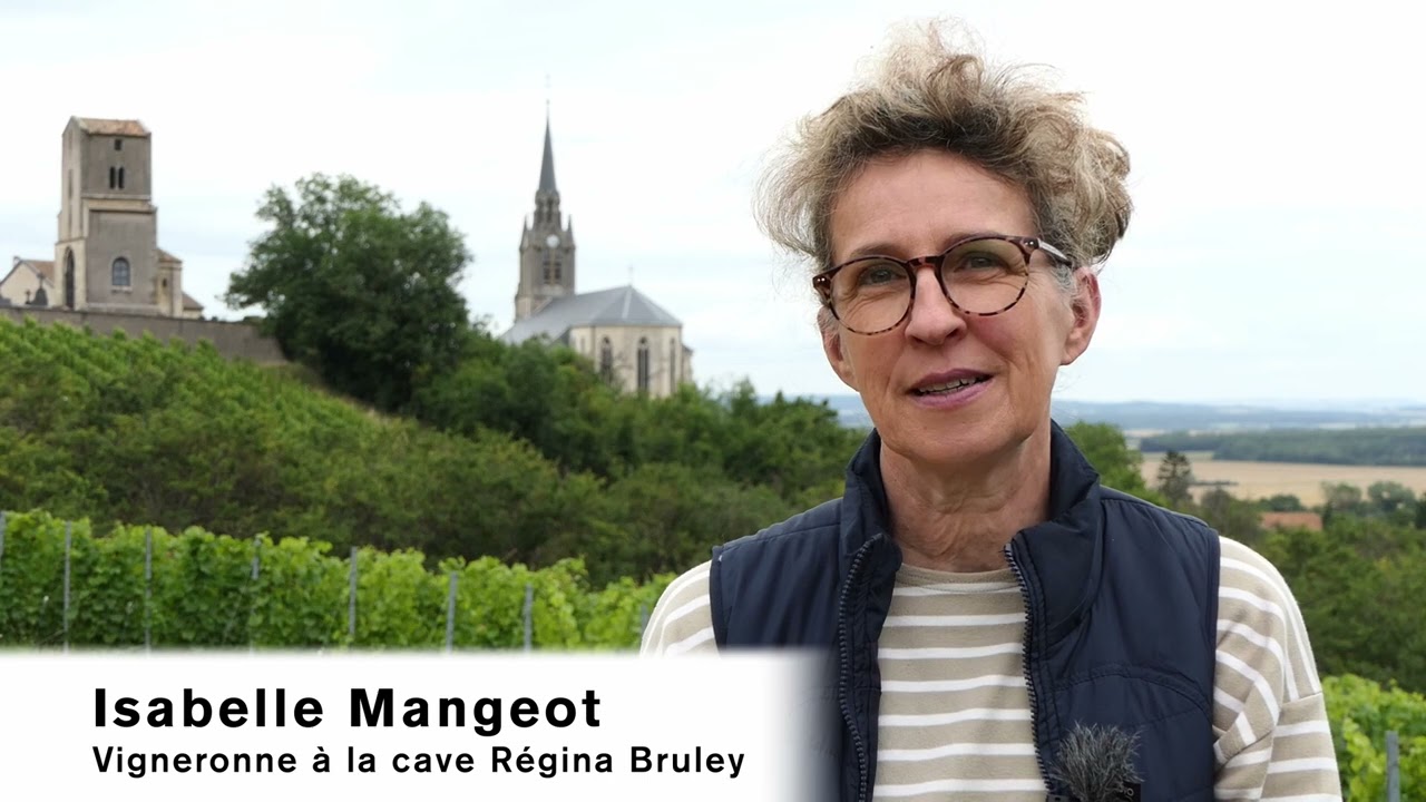 Présentation de Toul et du vignoble des Côtes de Toul