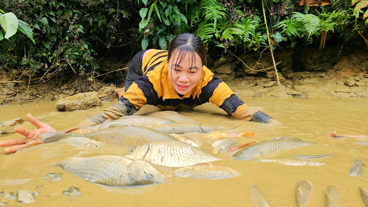 The girl caught a school of fish weighing 150 kg in the pond after a hard day's work | Chu Thi Hong