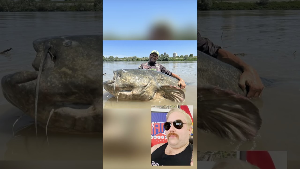 Italian fisherman catches largest catfish ever recorded!
