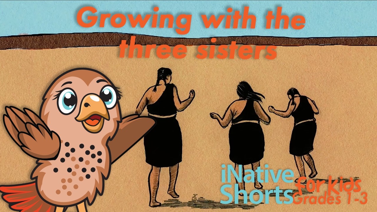 Tasty Traditions: Growing with the Three Sisters | RETURN | iNative Shorts for Kids