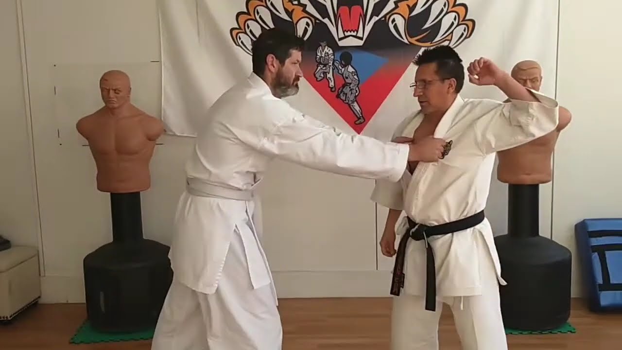 Practical Morote Bunkai Application | #Karate #MartialArts #ShotokanKarate #MMA #Kata