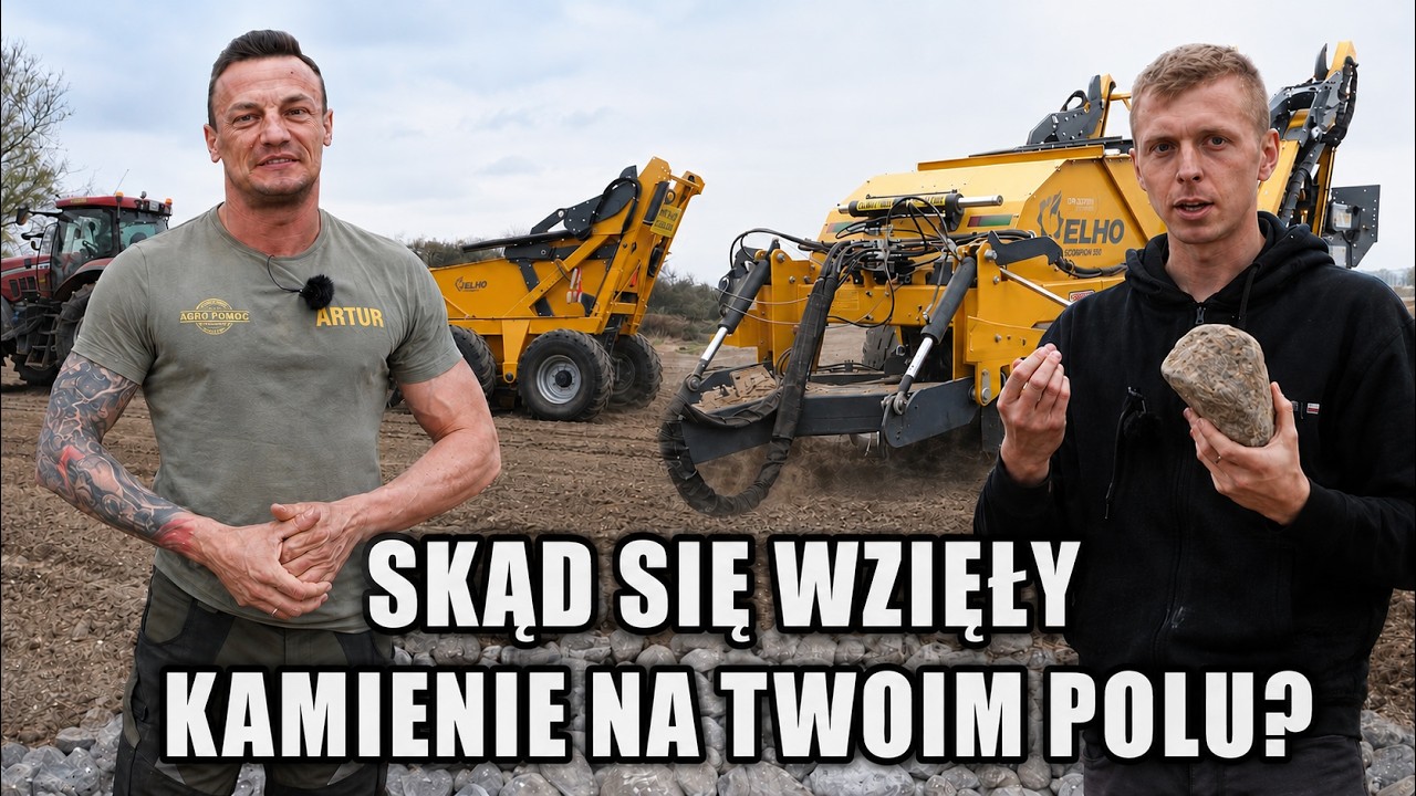 Ile kosztuje i jak wygląda usługa mechanicznego zbioru kamieni?