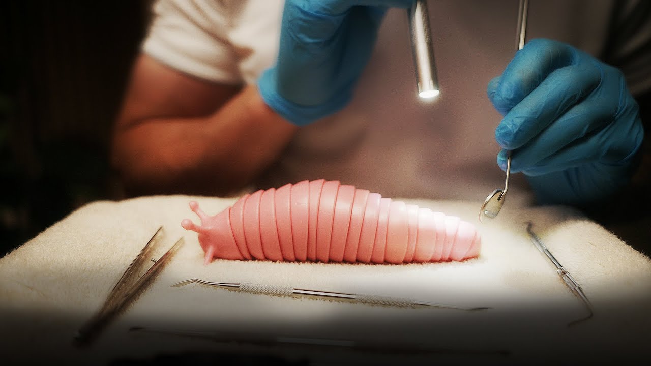 ASMR Mr. Slug Gets a Transplant (Whispered Exam)