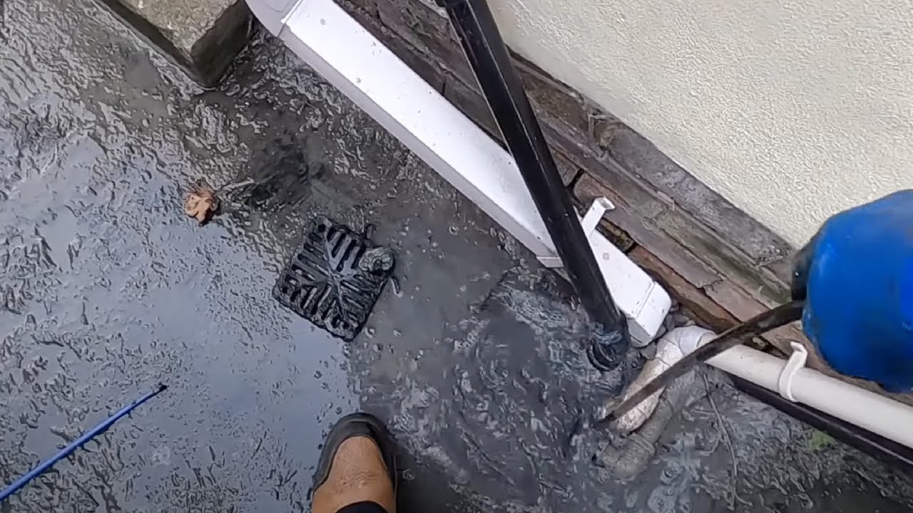 Major Kitchen Drain Unblock Full of Fat and Grease - It's a Big One!
