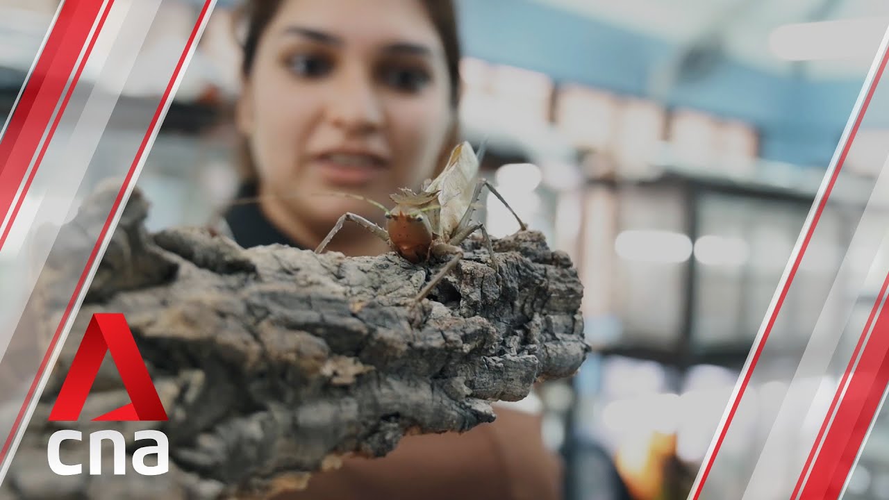 From 'fun holiday job' to zookeeper: Why this young woman chose to chase her passion