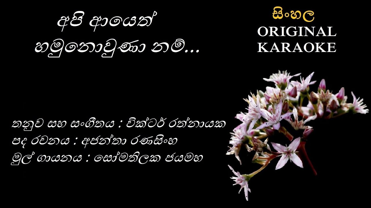Api Ayeth Hamunowuna Nam - අපි ආයෙත්හමුනොවුණා - KARAOKE - Somathilaka Jayamaha/Ajantha R/Victor R