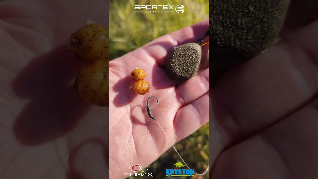 Session Carpe Hivernale sur le Canal du Midi: découvrez la stratégie, l'approche, montage, matériel!