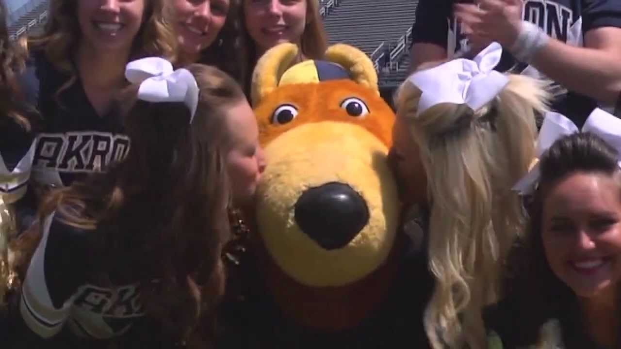 The Zippy Chronicles