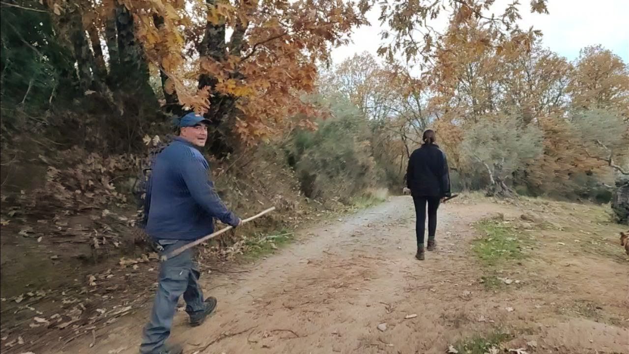 Vamos a por las borregas, así está el monte con tanto repeinao de turno