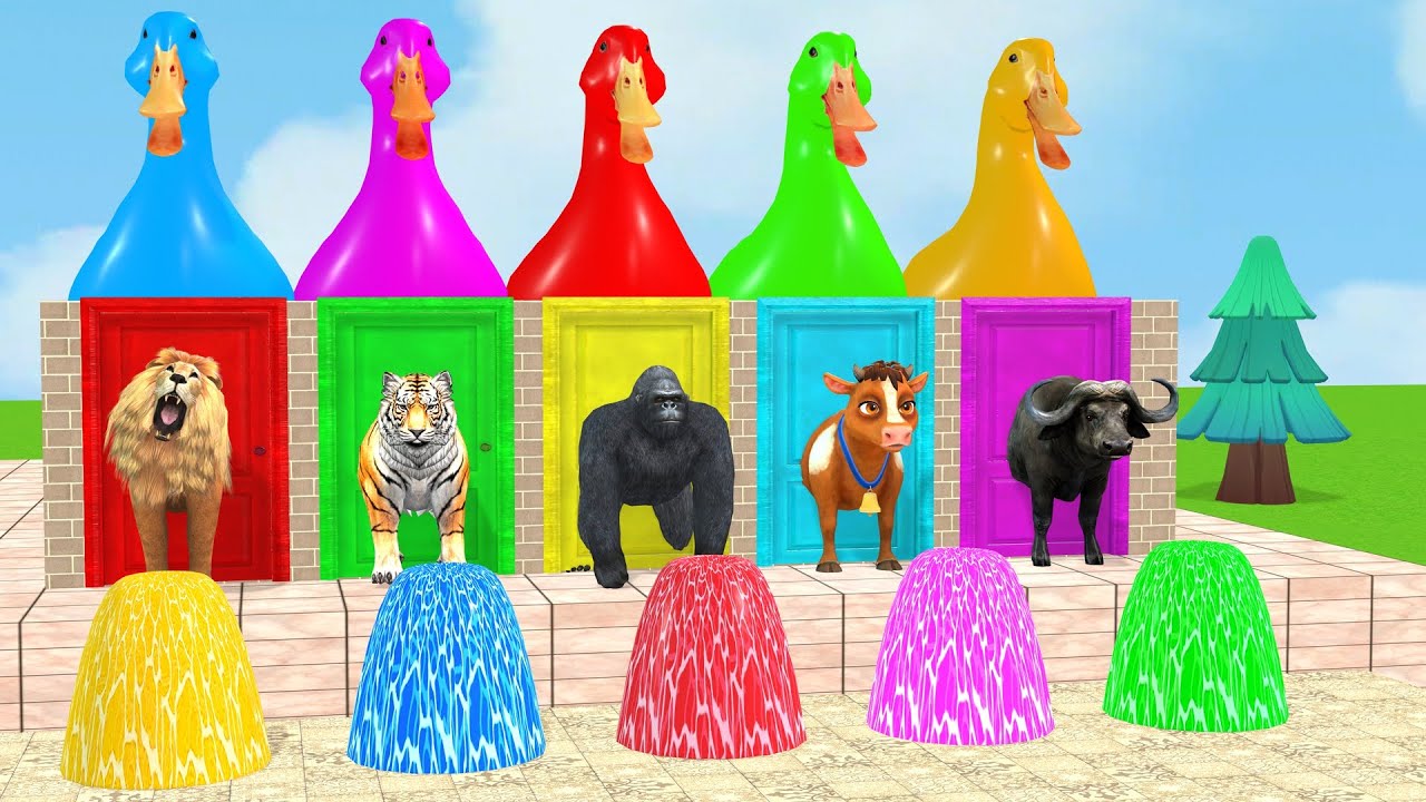 Long Slide Game With Cow Elephant Gorilla Hippopotamus Tiger 3d Animal Game Funny 3d Animals