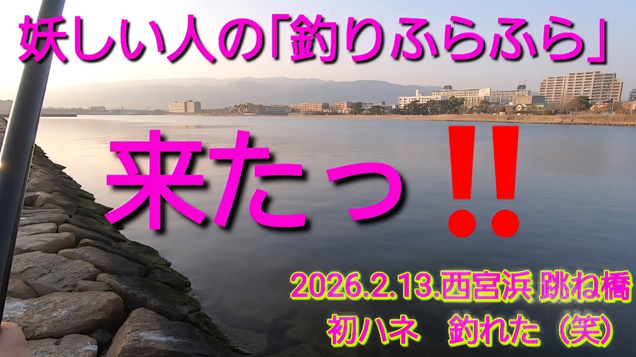 2026.2.13.やっと釣れたハネ@西宮　跳ね橋。短時間　エビ撒き釣り