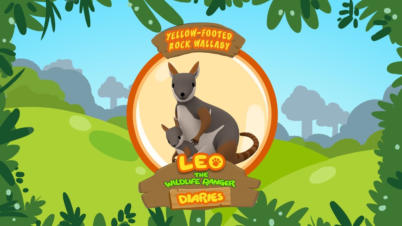 Yellow-footed Rock Wallaby - Leo The Wildlife Ranger Animal Diaries | Animal Facts for Kids
