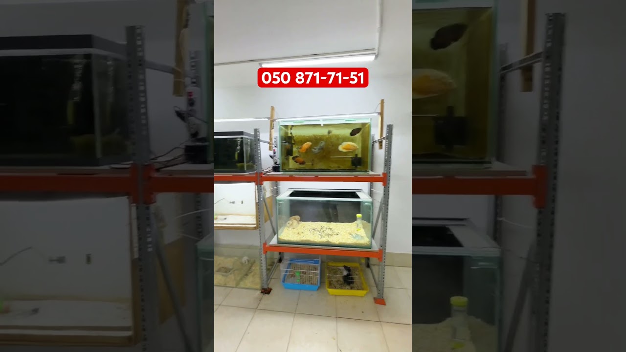 &Ccedil;ox Ucuz Obyekt Satılır #shorts #obyekt #kəşfet