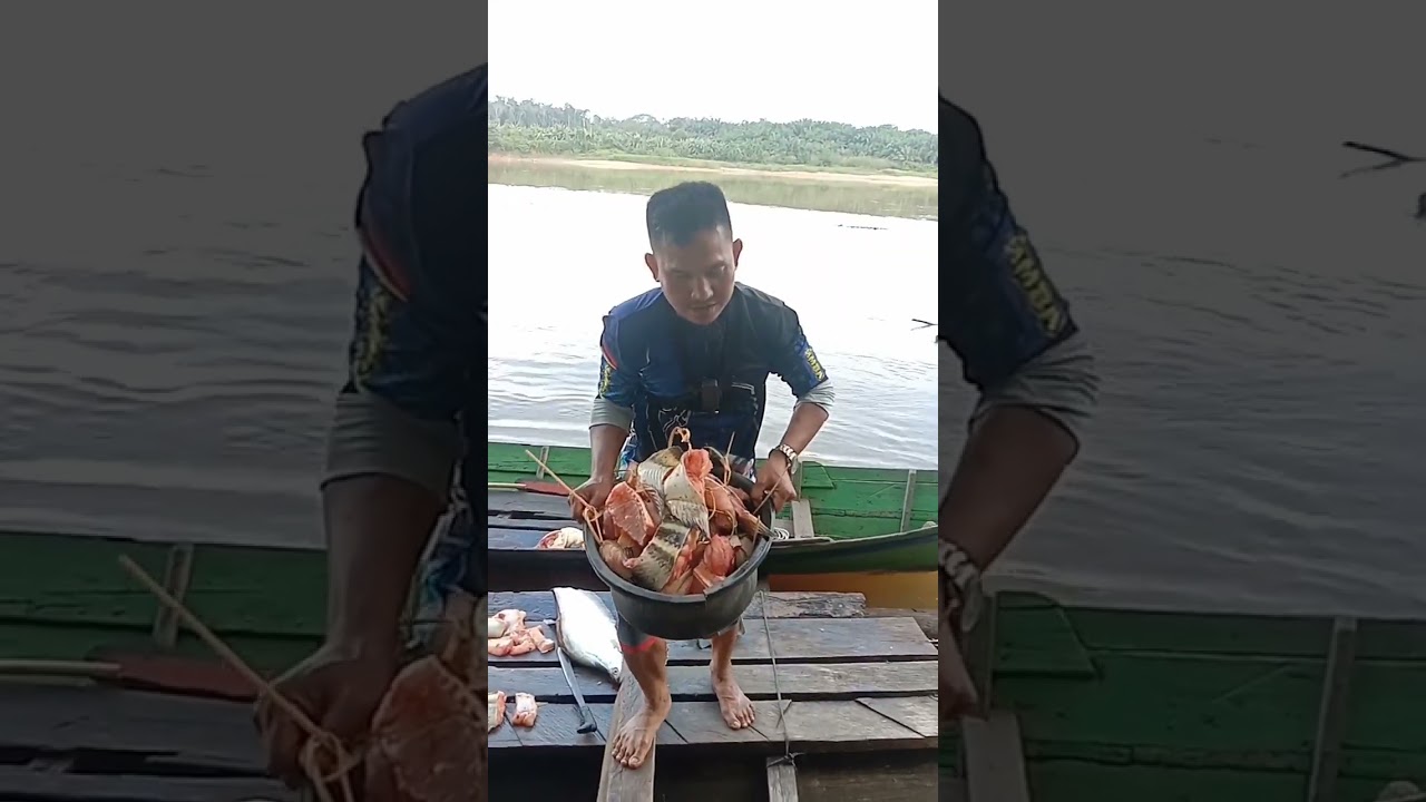 daging ikan tapah babon yang sudah di eksekusi #ikantapah #tapah #ikanenak #katingan #kalteng