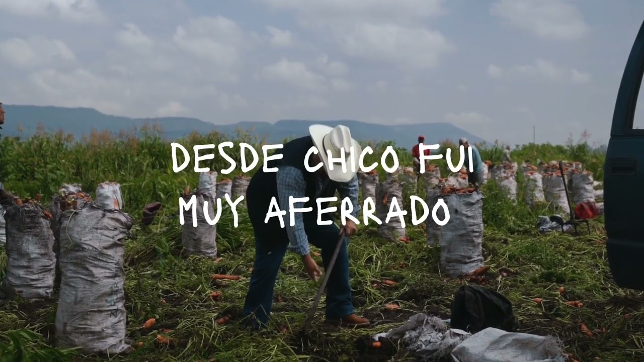 Aferrado