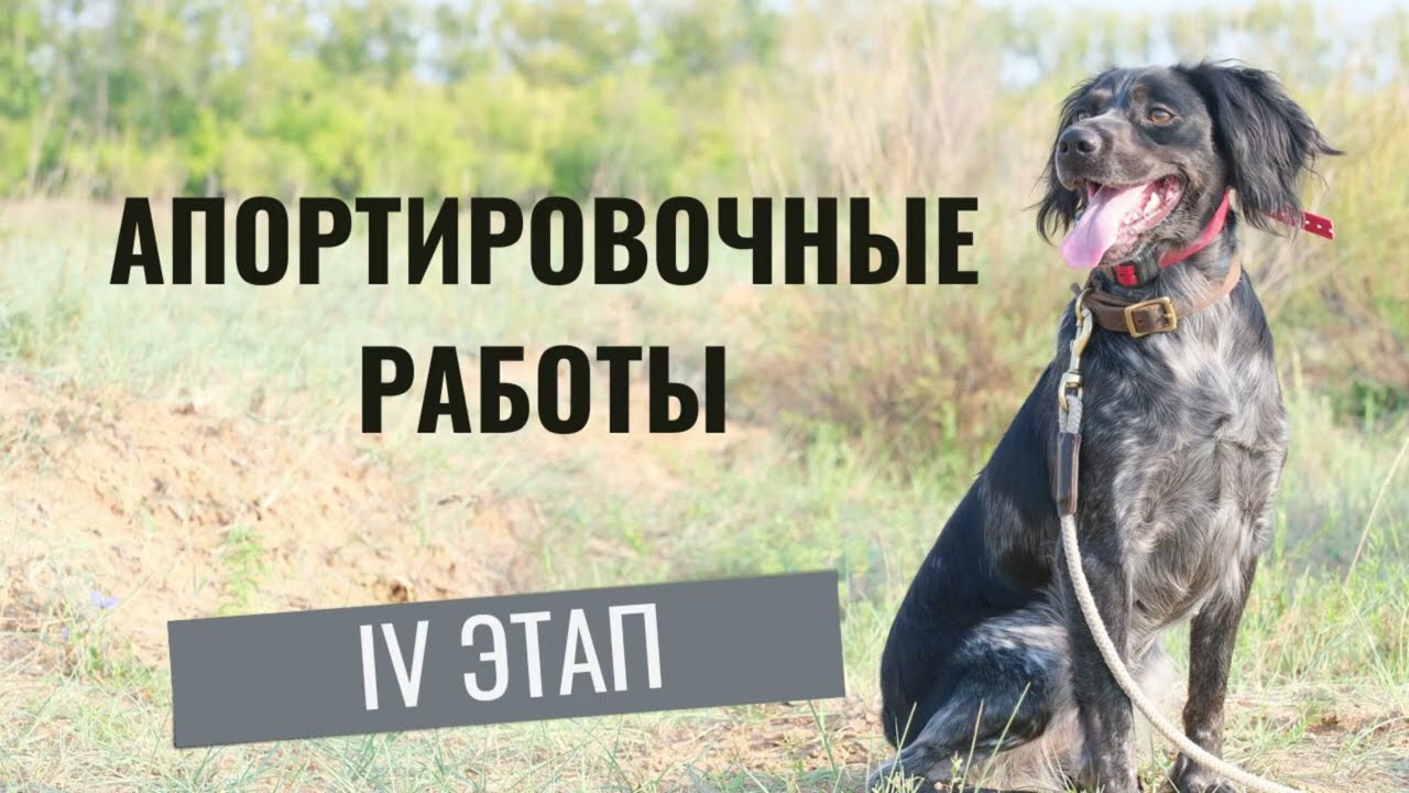 IV Этап - Апортировочные работы | Inkar-Dala System
