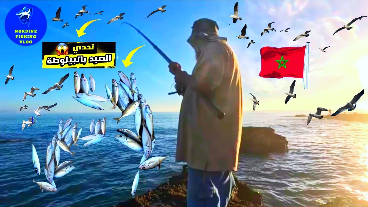 نمشوا نصيدو : #VLOG14 تحدي الصيد الاسماك بتقنية البيلوطة في جنوب الصويرة 🐠🎣 | PART5