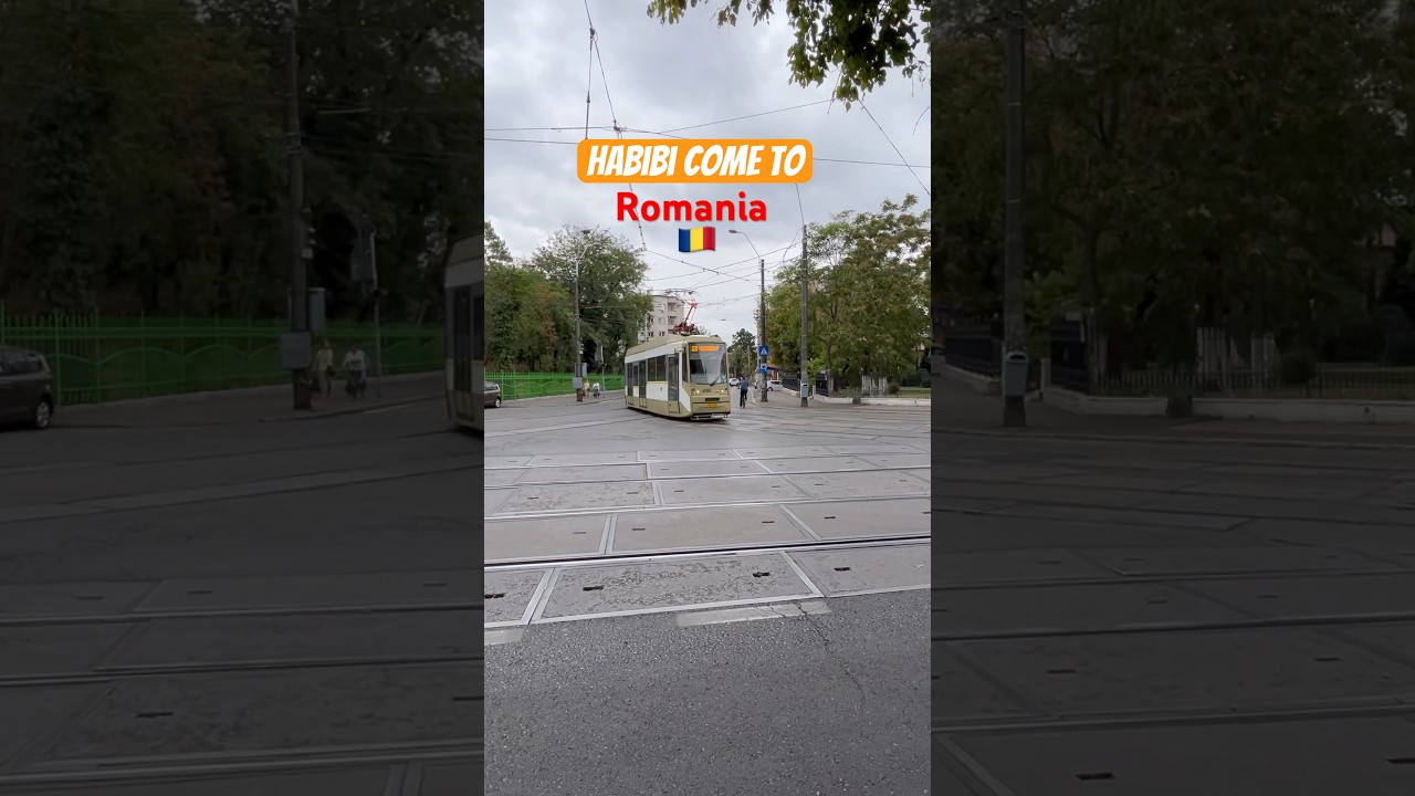 Habibi Come To Romania 🇷🇴