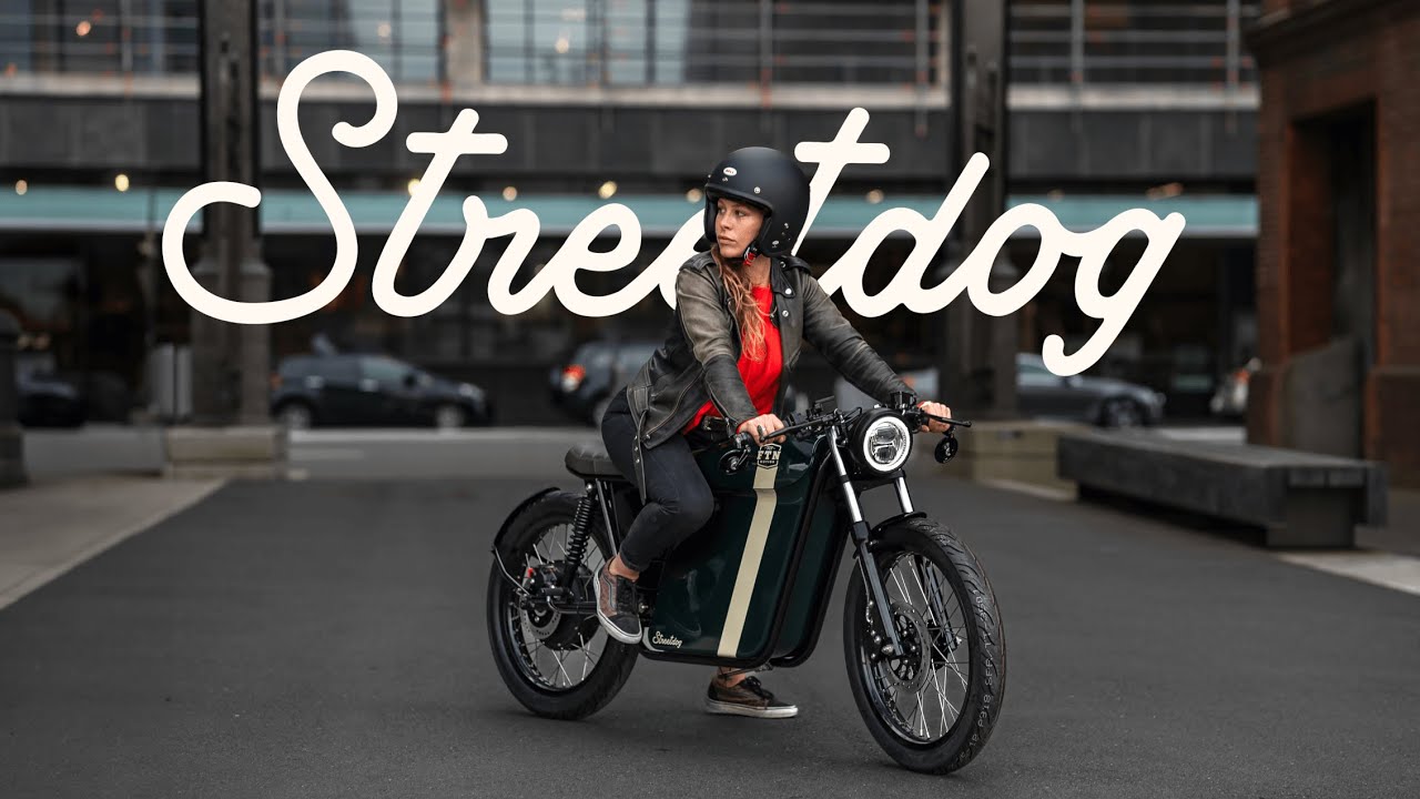 Born to be Mild - FTN Motion Streetdog | Wellington Videography