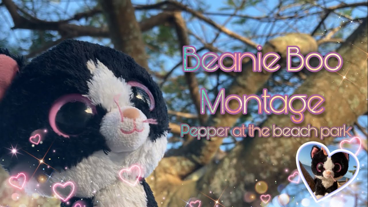 Beanie Boo Montage | Pepper at the Beach/park | Beanie Boo montage