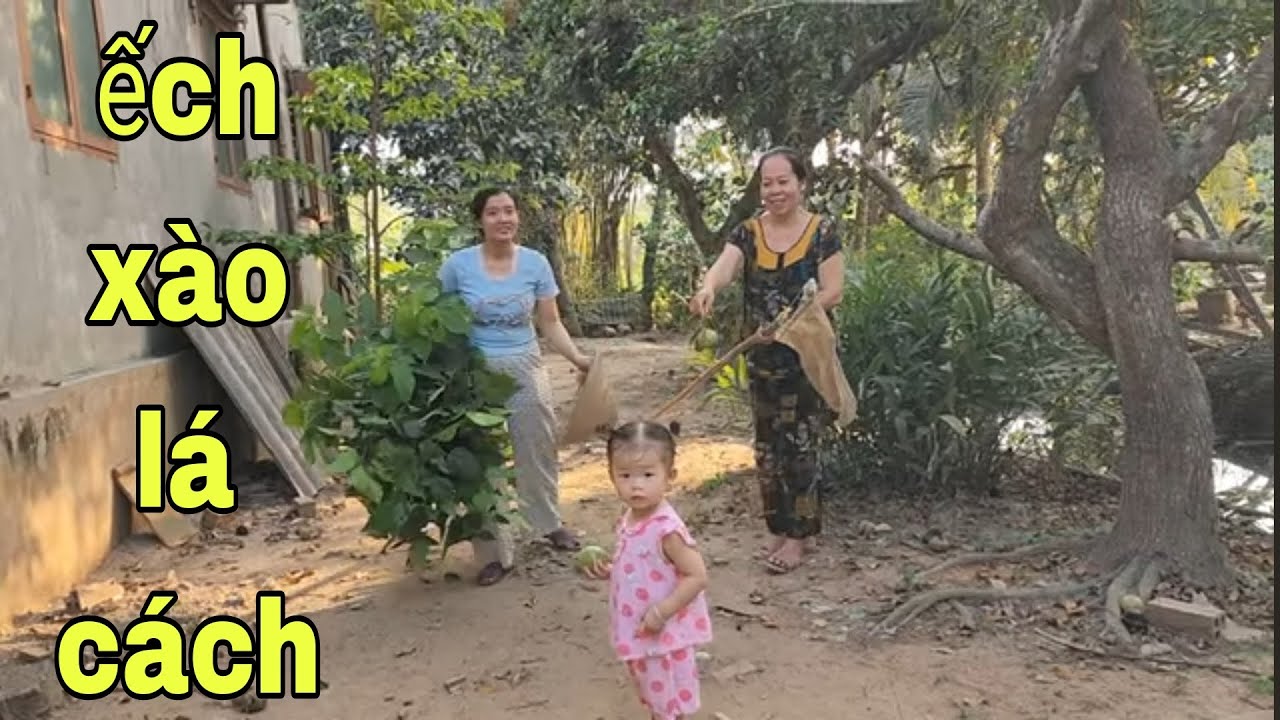 Ra Sông Tiền Hái Lá Cách Nấu Món Ếch Xào Lá Cách Quá Ngon # SĂN BẮT ĐỒNG THÁP #