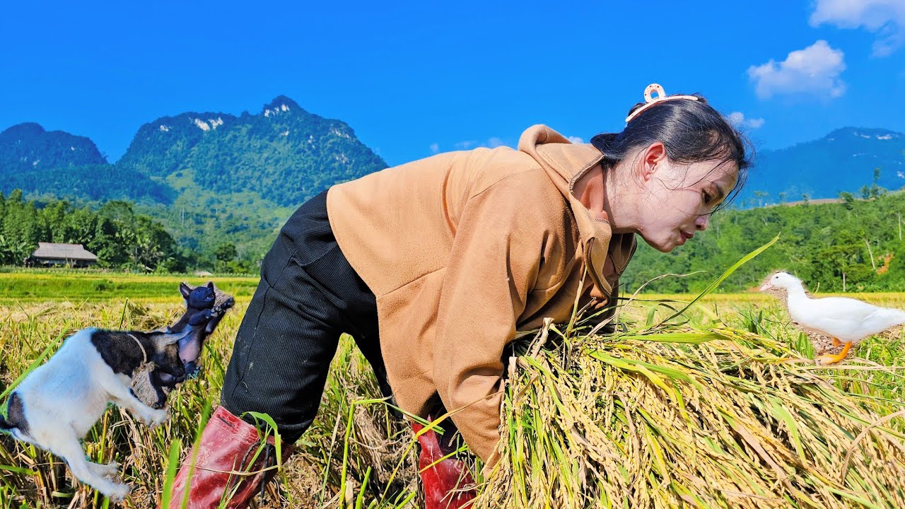 DaLin's Hard Day's Work To Earn 220,000 VND