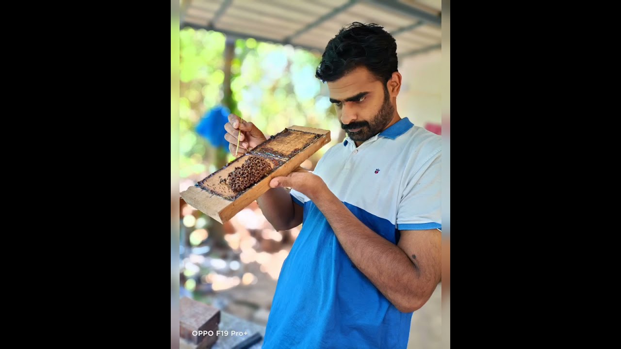 #small bee house making kerala