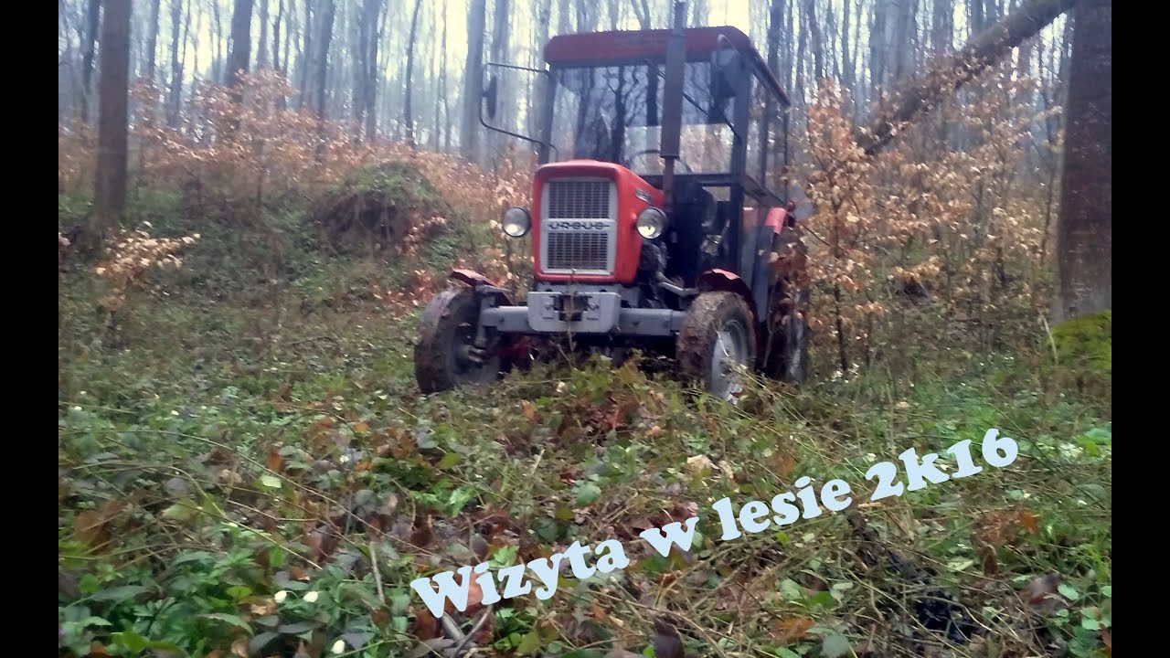 ♦♦ Wizyna w lesie ♦♦ Ursus c330m ♦