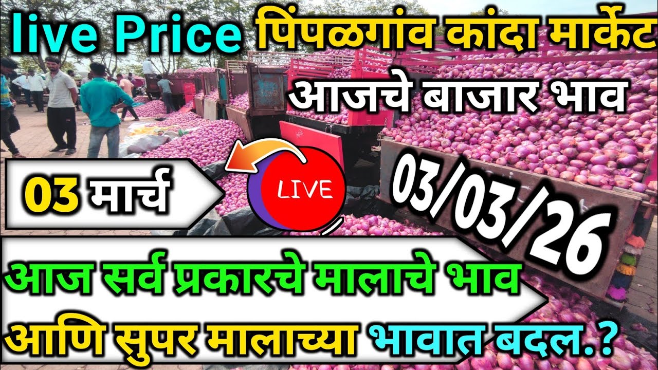Pimpalgaon Onion Market Price Today:Latest Rates And Insights 03 march 2025
