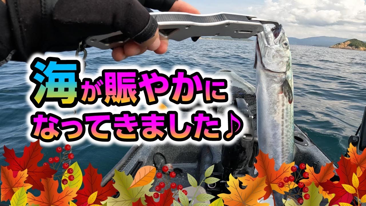 海が秋モードになってきましたね