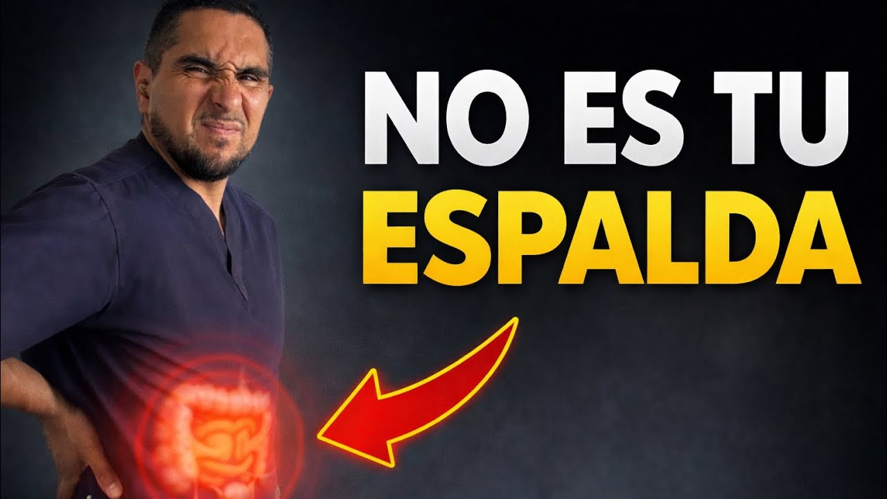 La inflamación empieza en el intestino, no en la espalda (y nadie te lo explicó así)