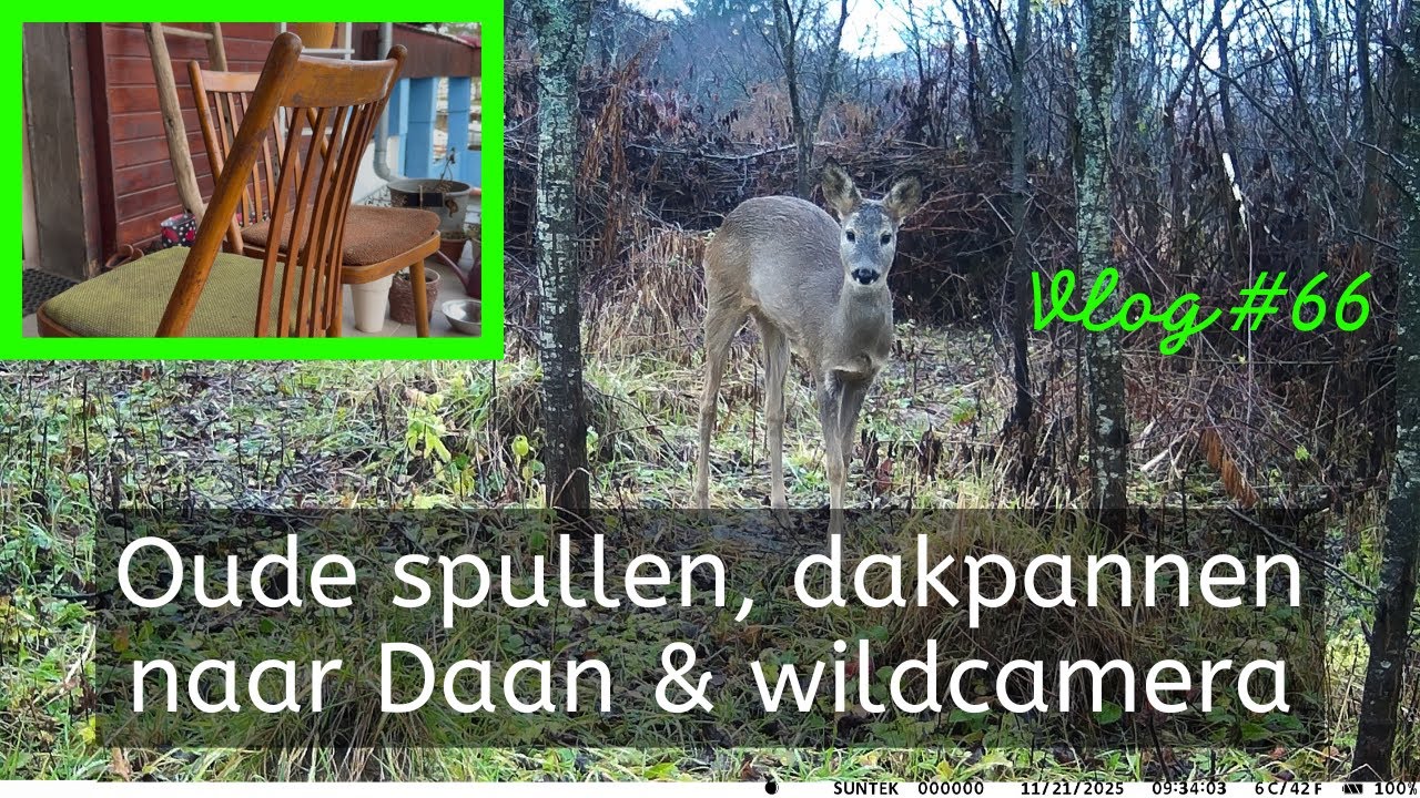 #66 - Oude spullen, dakpannen, naar Daan & wildcamera