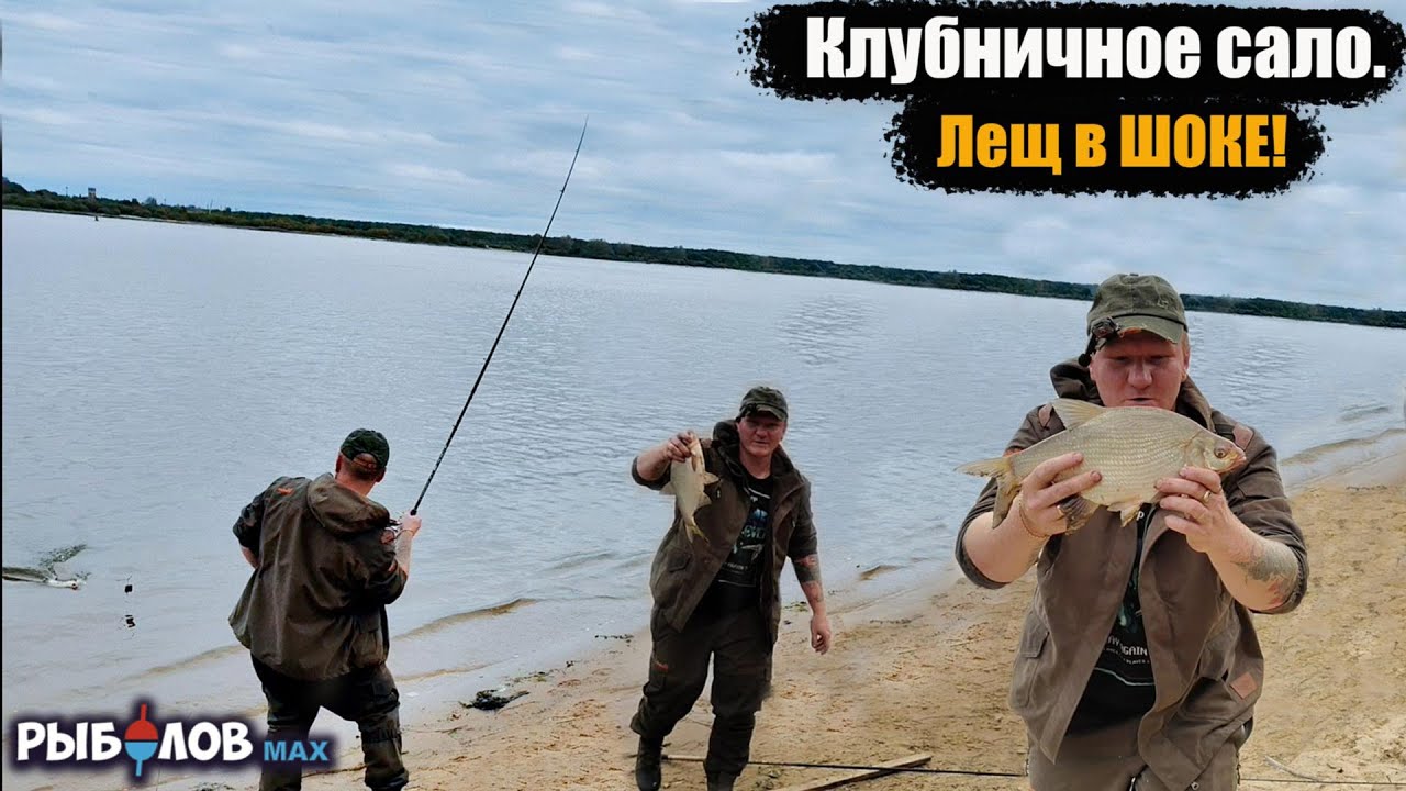 Попал на раздачу осеннего леща. Клубничное сало для леща. Лещ на сало осенью. Рыбалка ночью на Волге
