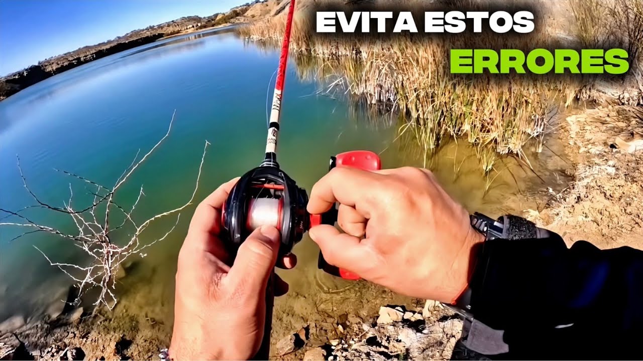 PESCA PARA PRINCIPIANTES [ Tips para pescar de orilla ]