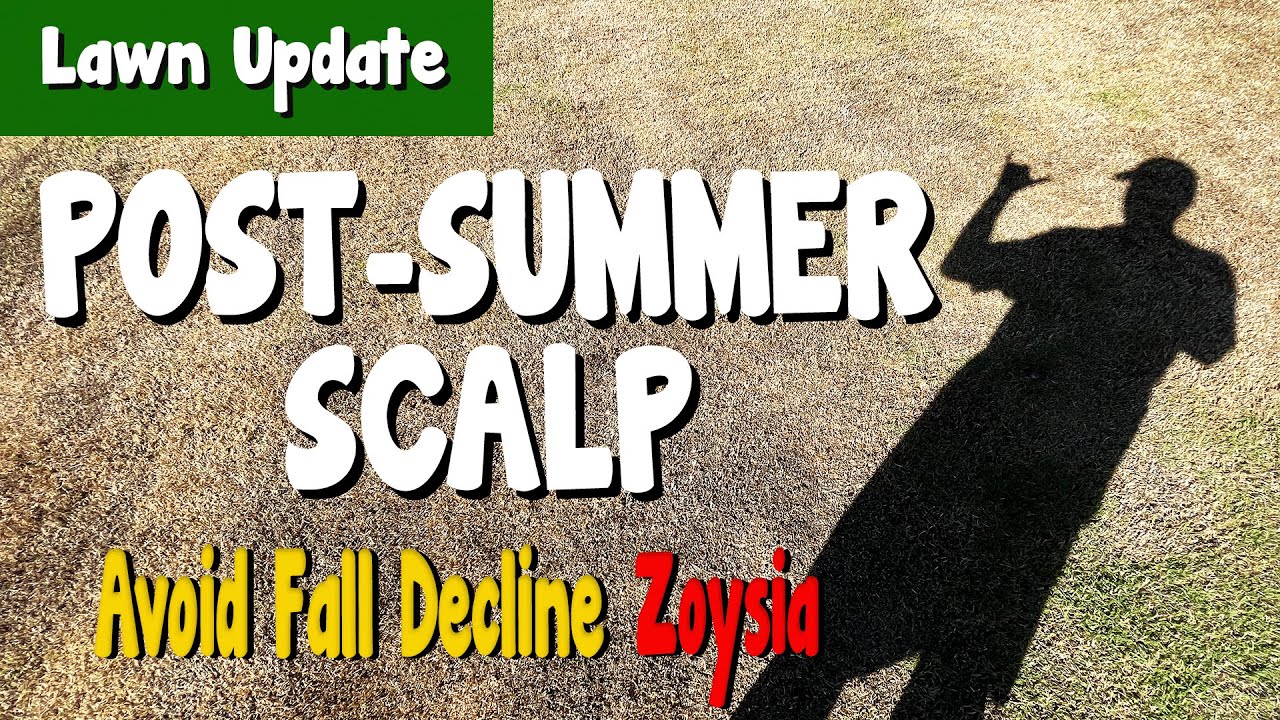 Zoysia Post-Summer Scalp / Fall Decline