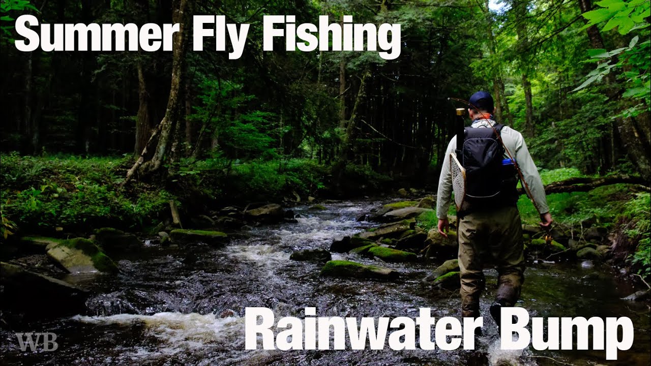 Summer Fly Fishing, Rainwater Bump, Sullivan County, PA - Wooly Bugged