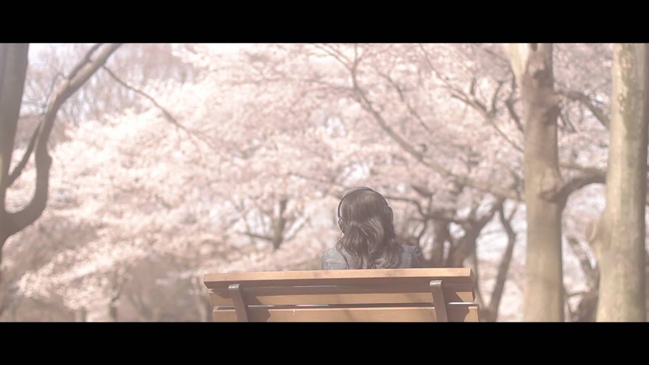 THE BABEL SHORT FILMS「散桜時光」予告編