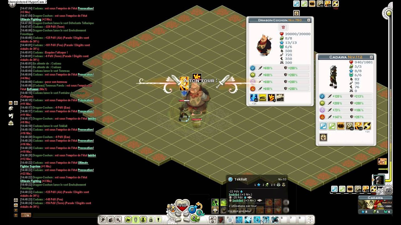 Dragon cochon