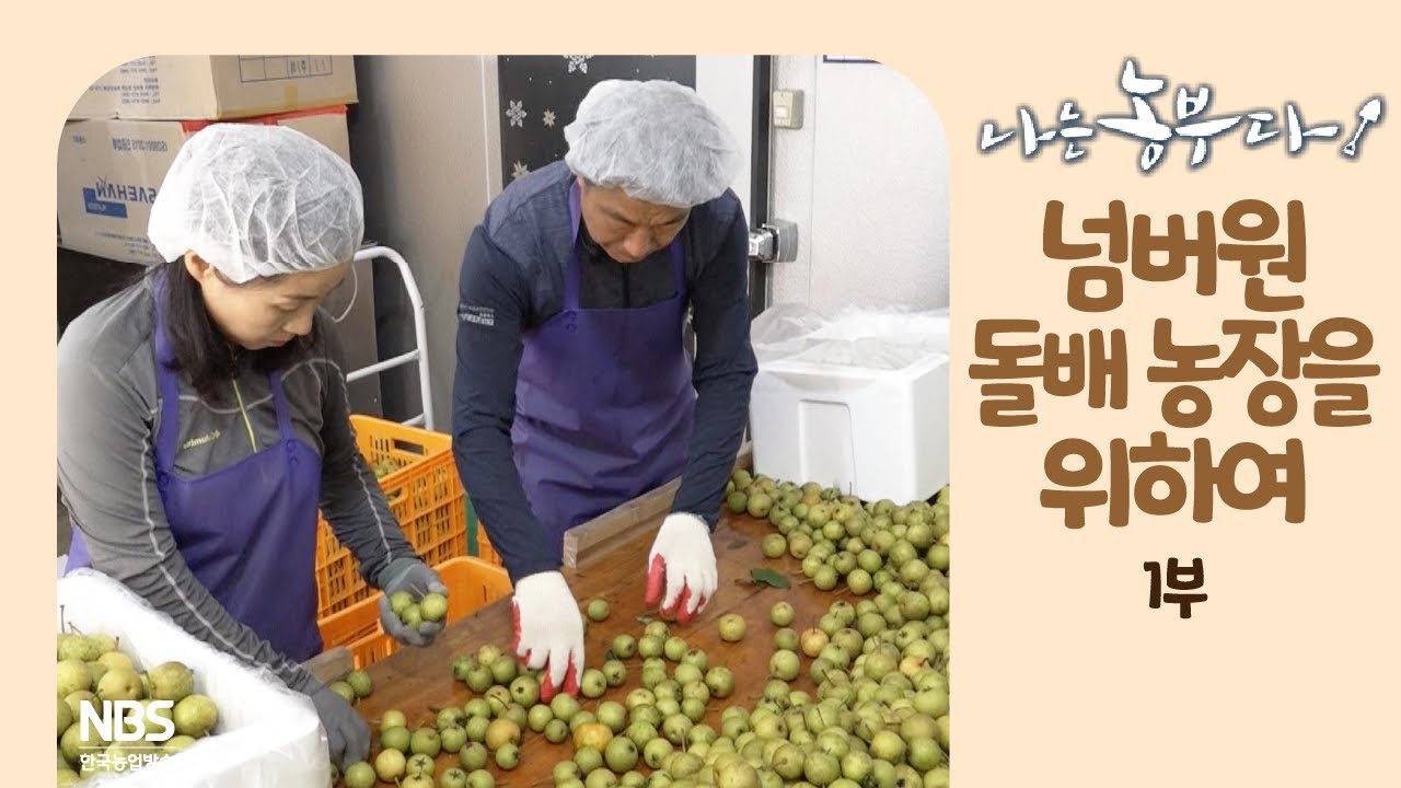 [나는농부다 218회 1부] 넘버원 돌배 농장을 위하여