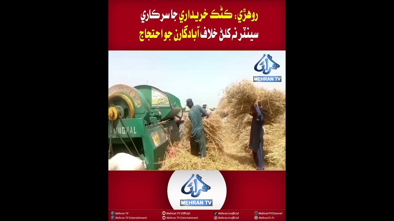 Mehran TV || Rohri: Farmers Protest Against Non-Opening of Government Wheat Procurement Centers