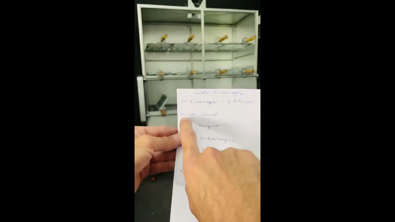 churrasqueira frango na brasa noção de ganhos