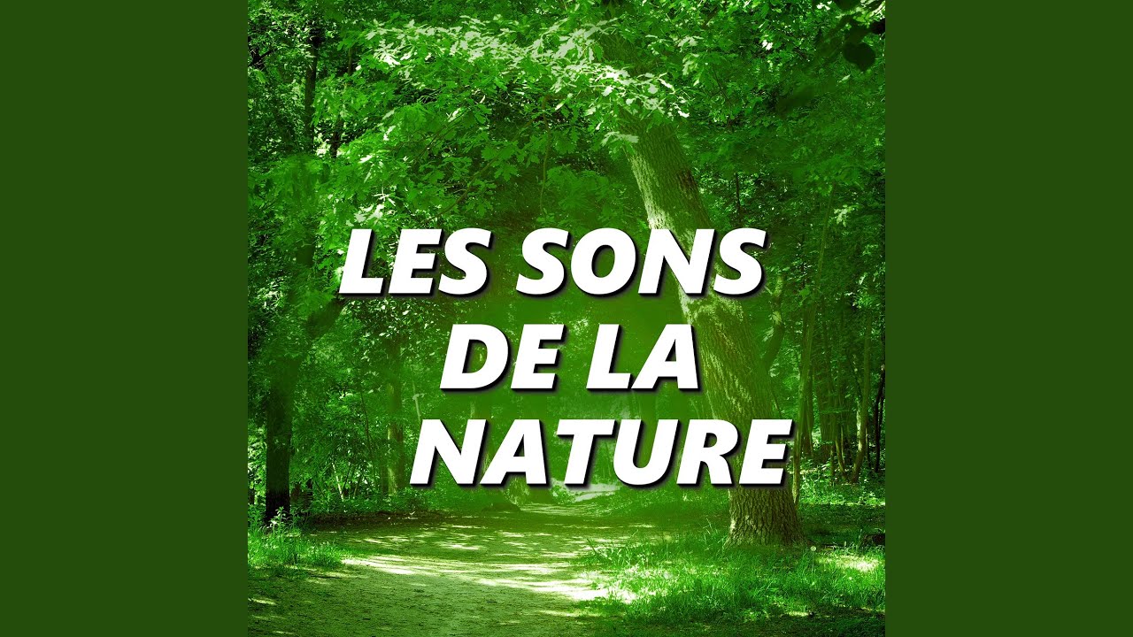 Bruits de la Nature