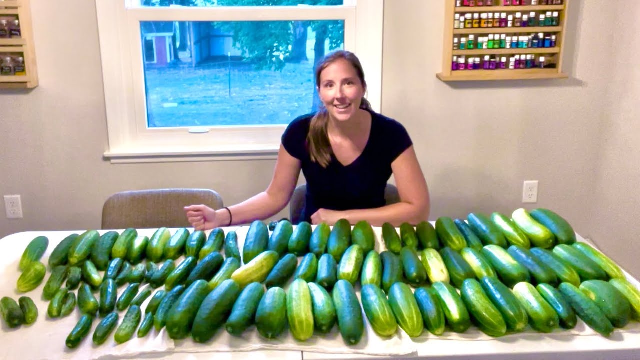 7 Ways to Preserve and Use Cucumbers // Making It Homestead