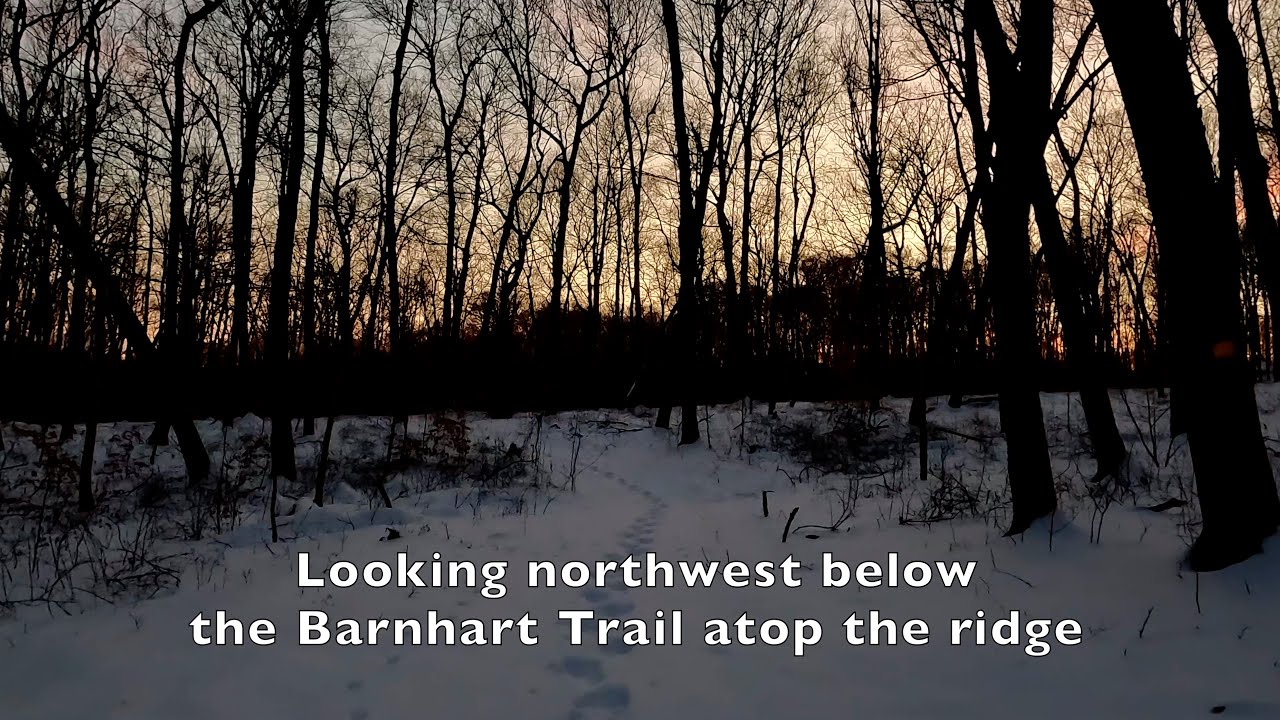 2026-02-04 IHS - Hoggard Trail in Snow 2 - Ridge View