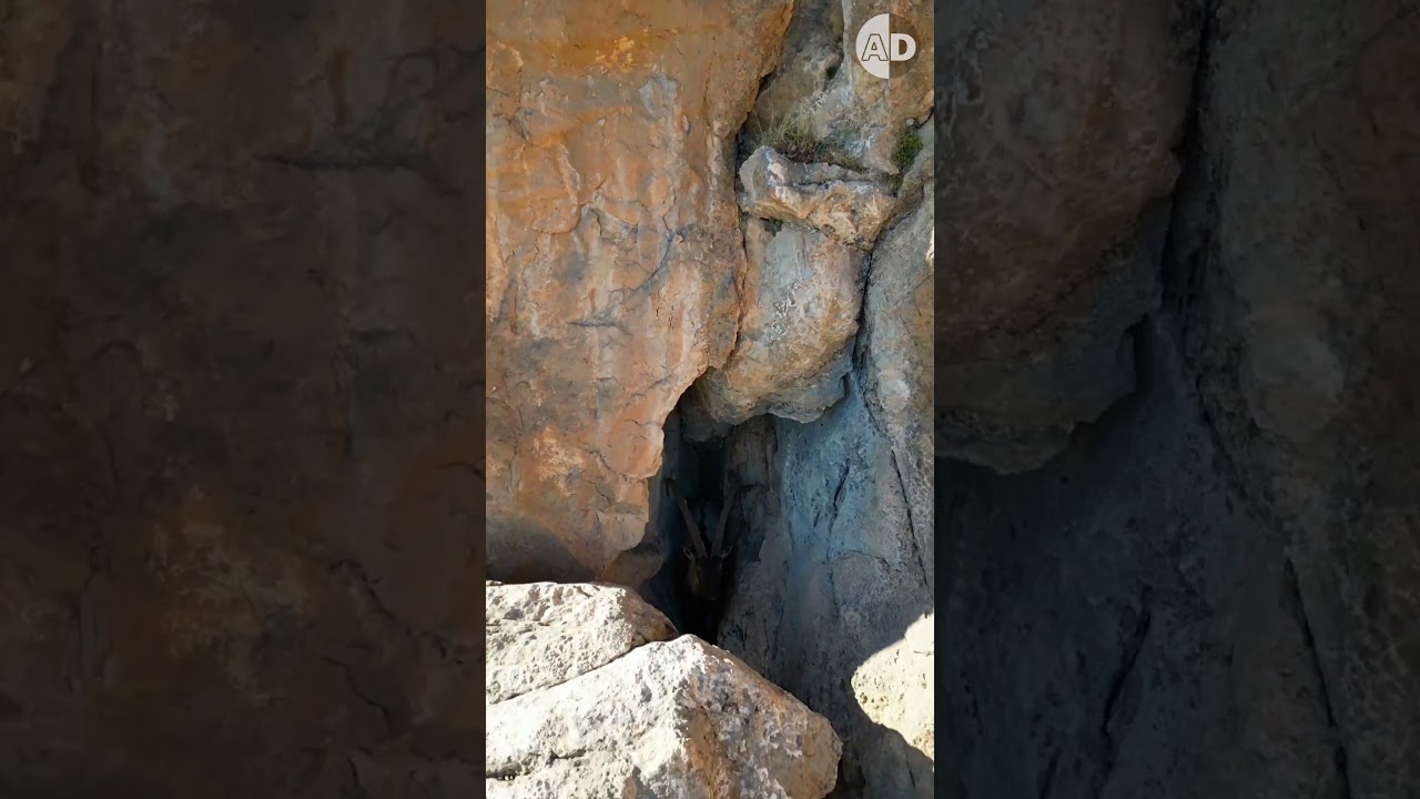 Incredible Drone Footage of a Bezoar Ibex Goat on an Inaccessible Cliff! 🐐🏔️
