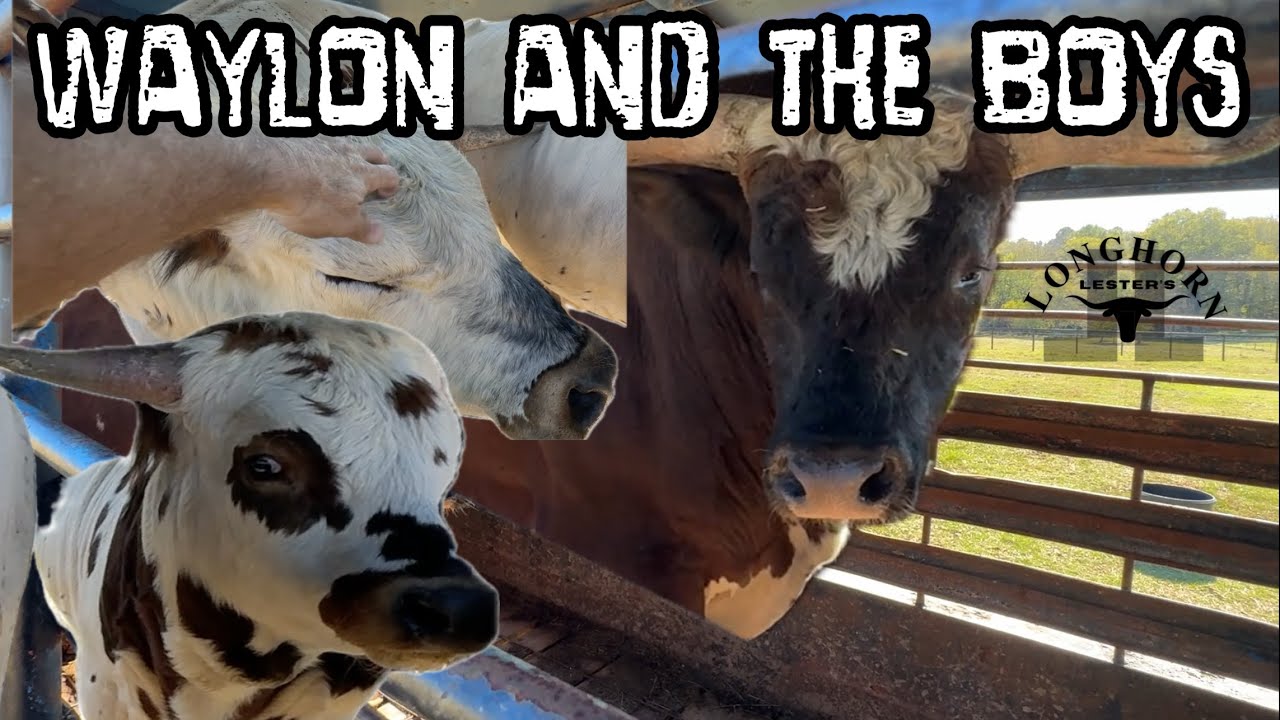 Прощаемся с ребятами 😢