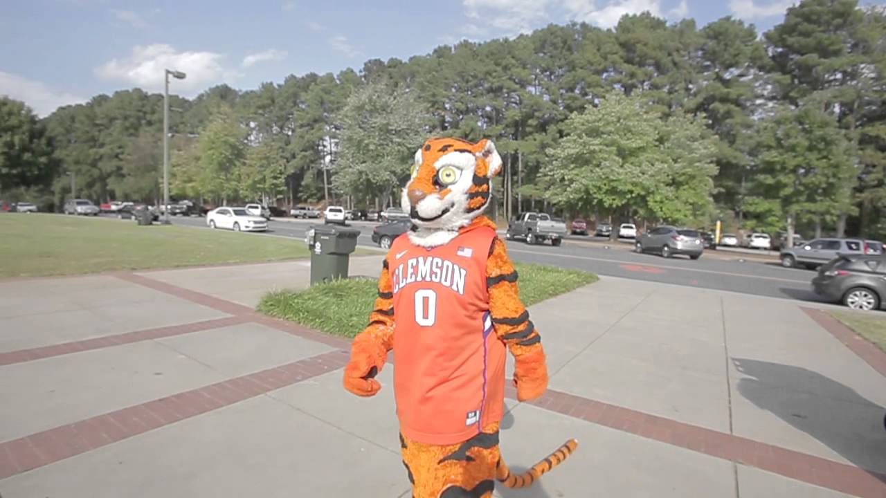 The Life of the Tiger